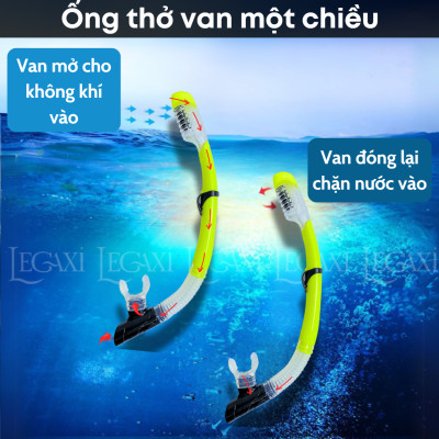 Ống Thở Bơi Lặn Biển Ngắm San Hô Đáy Biển Dã Ngoại Picnic