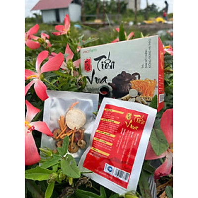 Trà sâm bố chính đông trùng hạ thảo Tiến Vua VacoFarm (10 túi/ hộp) - Bồi bổ và thanh lọc cơ thể