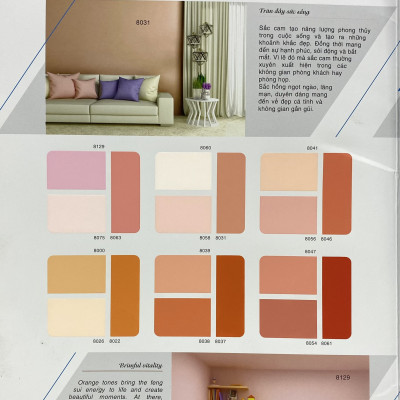 Sơn phào chỉ cho trần nhà Toa thoải mái lau chùi màu B- 7567 _1L