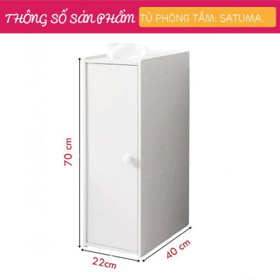 Tủ phòng tắm gỗ hiện đại SMLIFE Satuma