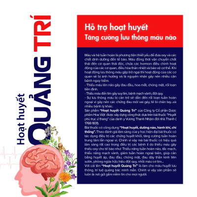 Tăng cường trí nhớ, lưu thông máu não hiệu quả cùng Hoạt huyết Quảng Trí Hoa Việt (Hộp 60 viên)