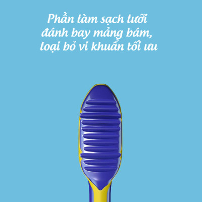 Vỉ Đôi Bàn Chải Đánh Răng Trisa Flexible