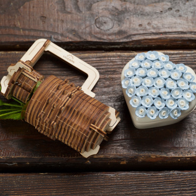 Mô hình Gỗ cơ khí - Ugears Combination lock - Ổ khóa Davinci, hàng chính hãng UGEARS, nhập khẩu nguyên bộ từ EU, mô hình lắp ráp 3D, đồ chơi trí tuệ DYI