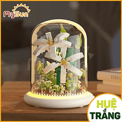 Lắp ráp mô hình HOA Sen Tuilip Hướng dương có đèn LED ngủ trưng bày MySun