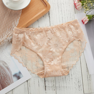 COMBO 5 QUẦN BÔNG ÉP HOA CÚC SEXY 817