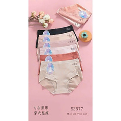 Combo 5 quần chip cotton cao cấp