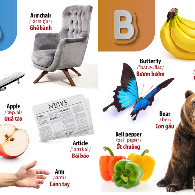 Từ Điển - Thư Viện hình Ảnh Đầu tiên Của Bé - Thế Giới Động Vật - Chữ Cái Và Số Đếm - Hoa Rau Củ Quả ( Bộ 3 cuốn )