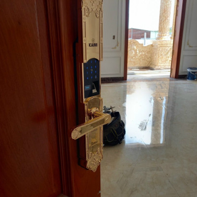 Khóa Thông Minh Đại Sảnh Tân Cổ Điển Kaimi DS101 - Hàng Chính Hãng