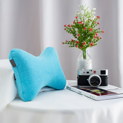 Accessories Neck Pillow Pug Memory Form