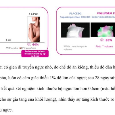 2 hộp 10 cặp miếng dán chăm sóc da ngực, săn chắc, chống chảy xệ Rainbow L