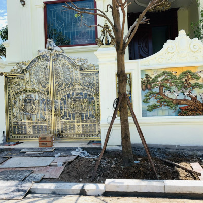 Cổng tự động âm sàn Roger Italia Br21/362 