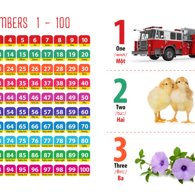 Từ Điển - Thư Viện hình Ảnh Đầu tiên Của Bé - Thế Giới Động Vật - Chữ Cái Và Số Đếm - Hoa Rau Củ Quả ( Bộ 3 cuốn )