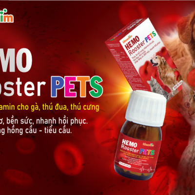 Hemo Rooster Pets tạo máu, bổ sung vitamin và khoáng chất cho thú cưng (Vemedim)