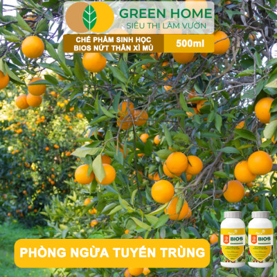 Chế Phẩm Sinh Học Bacte Bios Nứt Thân Xì Mủ, Green Home, Chai 500ml, Từ Thảo Mộc Hiệu Lực Nhanh Mạnh