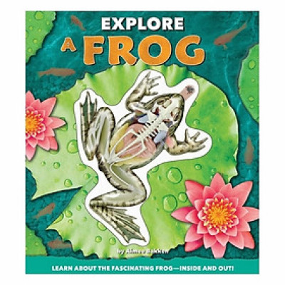 Explore A Frog
