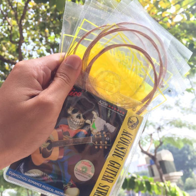 Combo 2 bộ dây đàn guitar acoustic Alice A206(SOL.G)