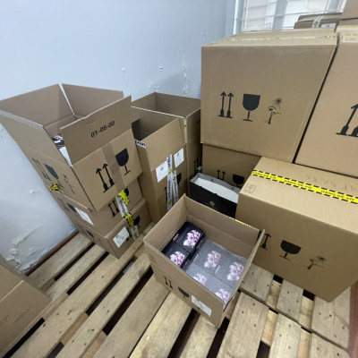 Phức hợp Collagen cao cấp dạng nước Orthomol Beauty