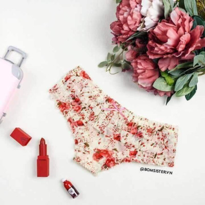 Combo 5 Quần Lót Nữ Ren Tầng Công Chúa Candy 303 – Set 5 Chiếc Thoáng Mát, Mềm Mại, Kiểu Dáng Dễ Thương