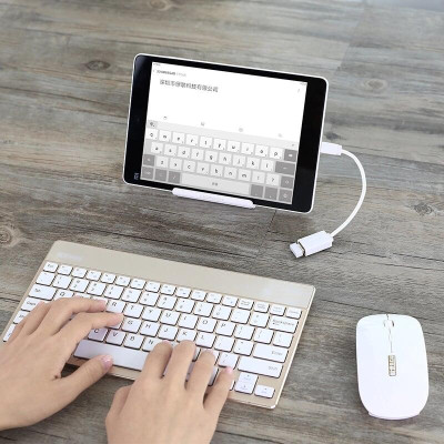 Ugreen UG10822US133TK 12CM màu Trắng Cáp chuyển đổi MICRO USB sang USB âm hỗ trợ OTG - HÀNG CHÍNH HÃNG