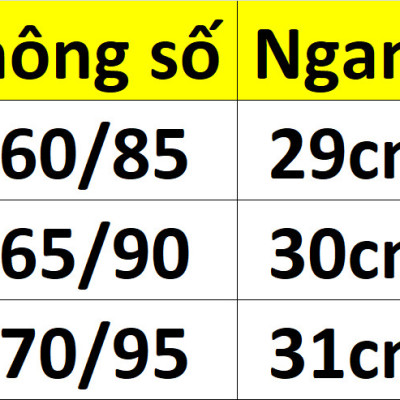 COMBO 5 QUẦN LỌT KHE ALLMIX SPORT SẮC MÀU 9818