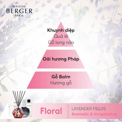 Maison Berger - Lọ tinh dầu khuếch tán hương 125ml - Ocean Breeze/Lavender Fields/Lavender Fields