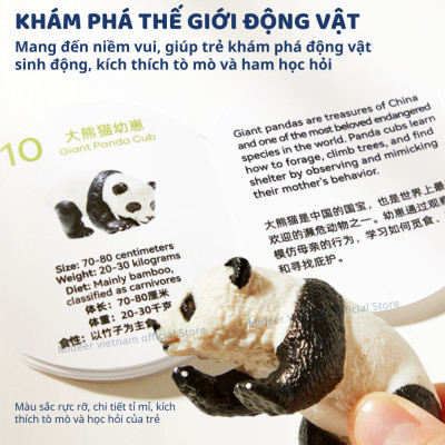 Đồ Chơi Mô Hình Động Vật Mideer mideer pocket friends