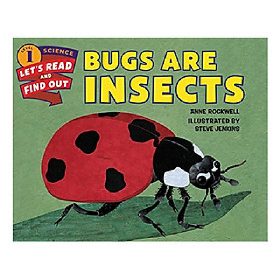 Lrafo L1: Bugs Are Insects