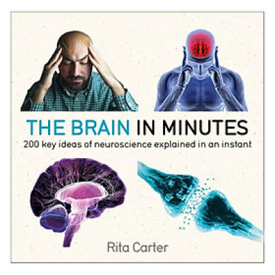 The Brain in Minutes