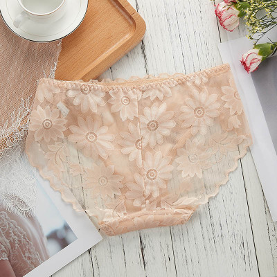 COMBO 5 QUẦN BÔNG ÉP HOA CÚC SEXY 817