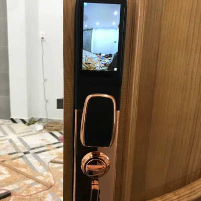 Khóa Vân Tay Tự Động Cao Cấp Kaimi KM11 Ultra - Màu đồng - Hàng Chính Hãng