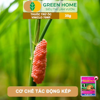 Thuốc Diệt Ốc Bươu Vàng Viniclo 70WP, GreenHome, Gói 35gr, Diệt Sạch Ốc, An Toàn Cho Lúa