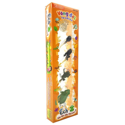 Đồ Chơi Mô Hình Vòng Đời Tự Nhiên - Ếch Lớn Lên Như Thế Nào? - Firstar DK81256