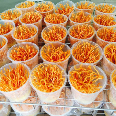 3 Hộp Đông Trùng Hạ Thảo Khô TAKICHI (50 gram)