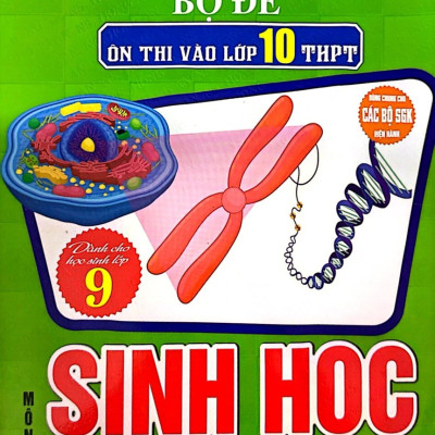 Combo Bộ Đề Thi Và Bồi Dưỡng Học Sinh Giỏi Sinh Học 9