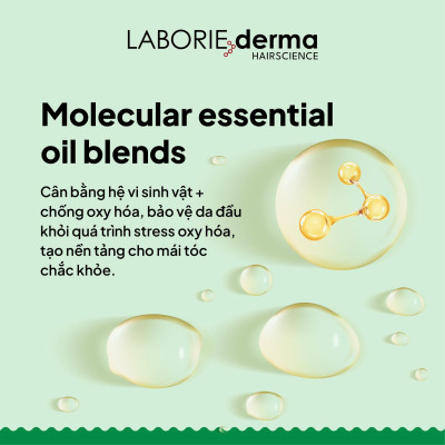 Dầu gội hỗ trợ cân bằng hệ vi sinh da đầu LABORIE derma Scalp Shampoo 250ml