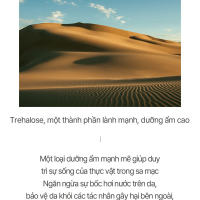 Kem Dưỡng Ẩm Mặt MESABLUE REFRESING BLUE GEL 5ml x 20ea