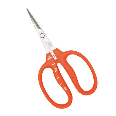 Kéo cắt nho cao cấp Nhật Bản Chikamasa B-500S