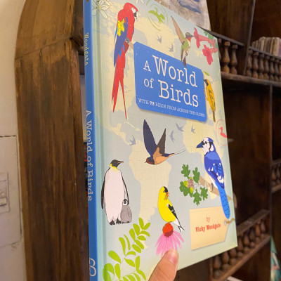 Sách - A World of Birds by Vicky Woodgate | Children