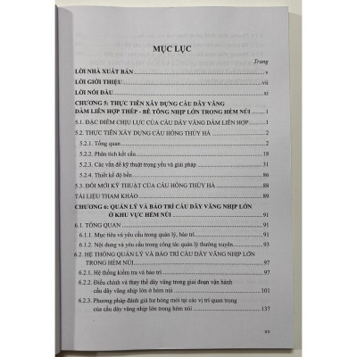 Sách - Xây Dựng Và Bảo Trì Cầu Dây Văng Nhịp Lớn Trong Hảm Núi (Tập 2)