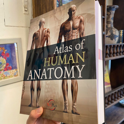 Sách - Human Anatomy by Jordi Vigue | Medical Science / Reference Nonfiction / Ngoại văn