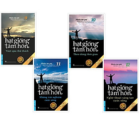 Sách - Combo Hạt Giống Tâm Hồn (Vượt qua thử thách 9 & 10 + Những trải nghiệm cuộc sống 11 & 12) - First News