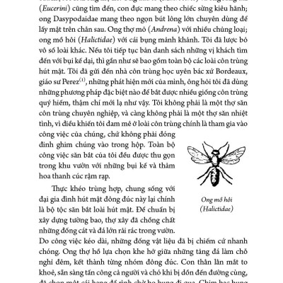 Combo 5 tập Côn trùng ký (1 - 5) - Ấn bản đầy đủ