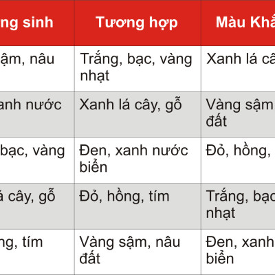 Vòng phong thủy nam Gỗ Huyết Long thiên nhiên mix bạc 925 VN013