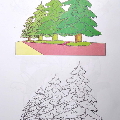 Tập Tô Màu - Dành Cho Bé 5-6 Tuổi