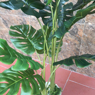 Cây lá rùa xẻ giả - Size 130cm - 3 nhánh - Cây giả, hoa lụa Decor trang trí nhà cửa