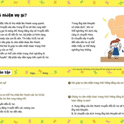 Bồi Dưỡng Kĩ Năng Đọc Hiểu Cho Học Sinh Tiểu Học - Thắc Mắc Về Cơ Thể Người