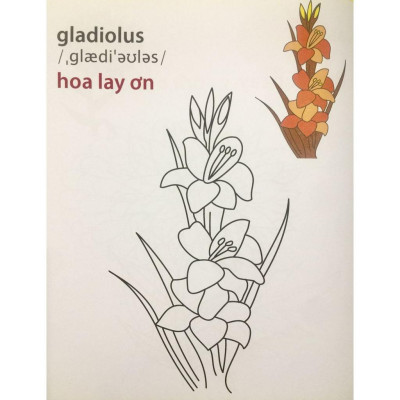Sách - Giờ Học Tô Màu Của Bé Các Loài Hoa - Tân Việt Books