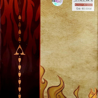 Tiểu Thuyết One Piece - Chuyện Về Ace - Tập 1 - Băng Hải Tặc Spade Ra Đời