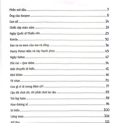 Cánh Đồng Hoa Cúc Ngưu Bàng