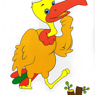 Bé Tô Màu Mẫu Giáo - Chim